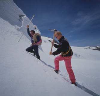 bernard bruno 1992